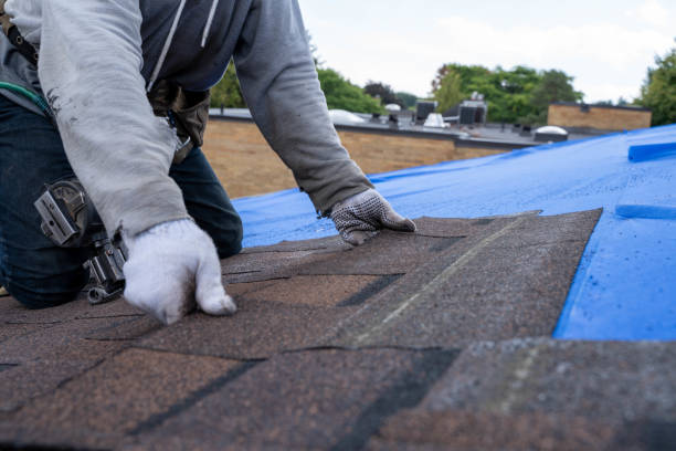 Roof Gutter Cleaning in Bernie, MO