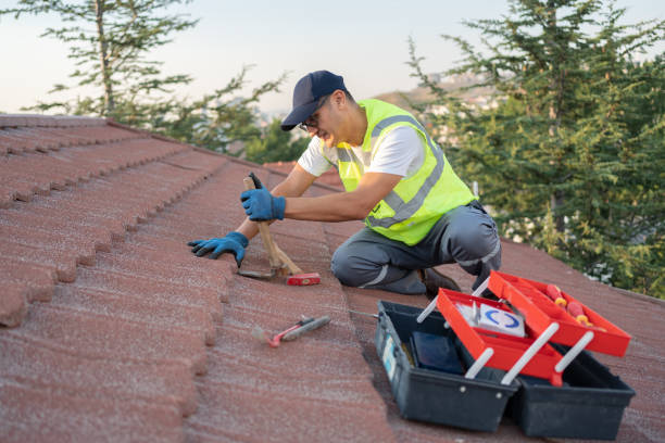 Best Roof Waterproofing Services  in Bernie, MO