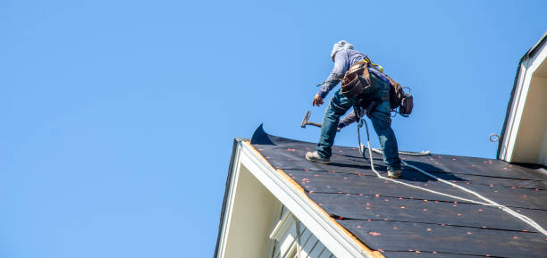 Best Roof Waterproofing Services  in Bernie, MO